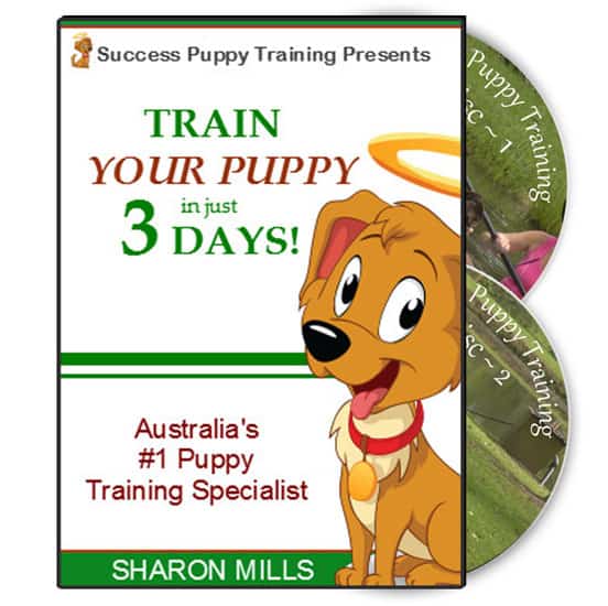 Success Puppy Training DVD Set