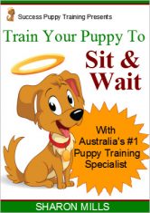 Train your puppy to sit and wait