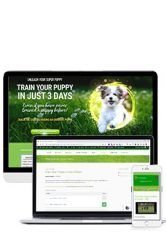Online Course Train Your puppy in 3 days