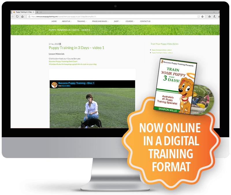 online puppy training course