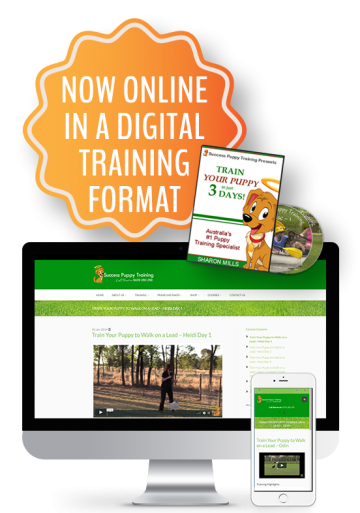 online puppy training course