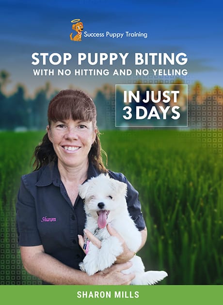 Stop Puppy Biting with No Hitting and No Yelling ebook cover