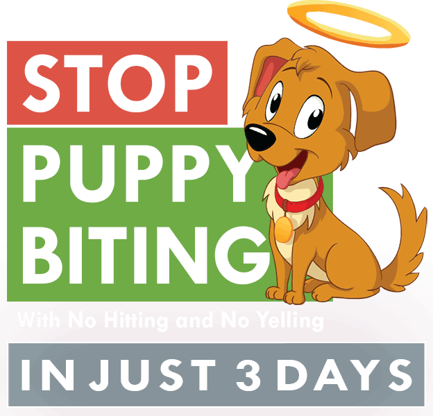 Stop Puppy Biting With No Hitting or Yelling in Just 3 Days