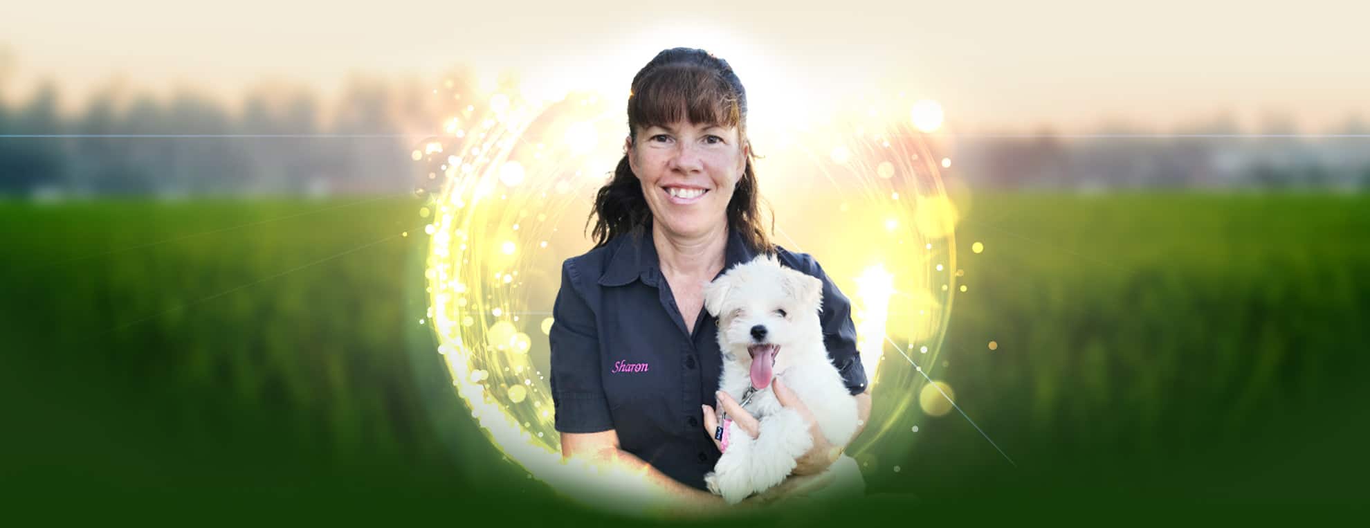 Sharon Mills puppy trainer