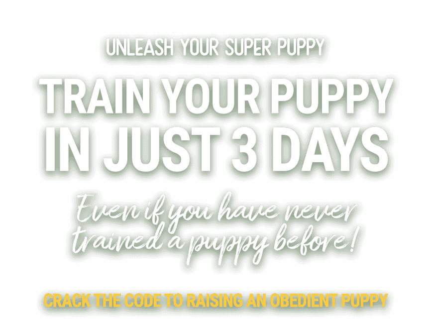 Unleash Your Super Puppy in Just 3 Days