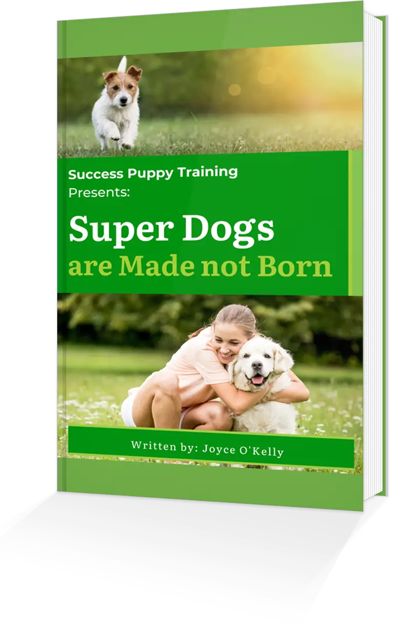 Superdogs are made not born ebook