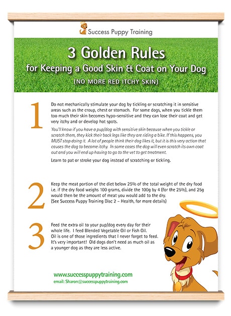 rules for dog healthy coat